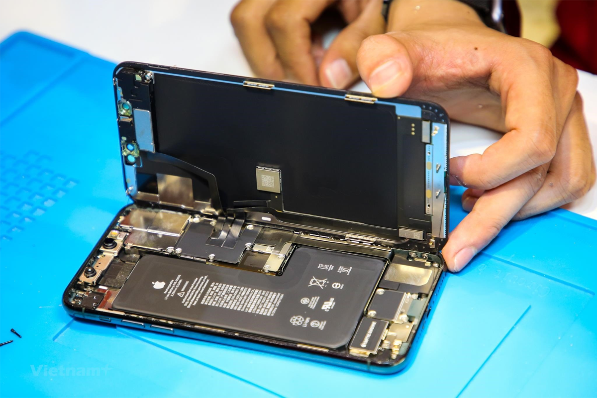 iPhone 13 Xanh Màn Hàng Loạt? Sự Thật & Apple Chính Thức Nói Gì ? - Hình 3