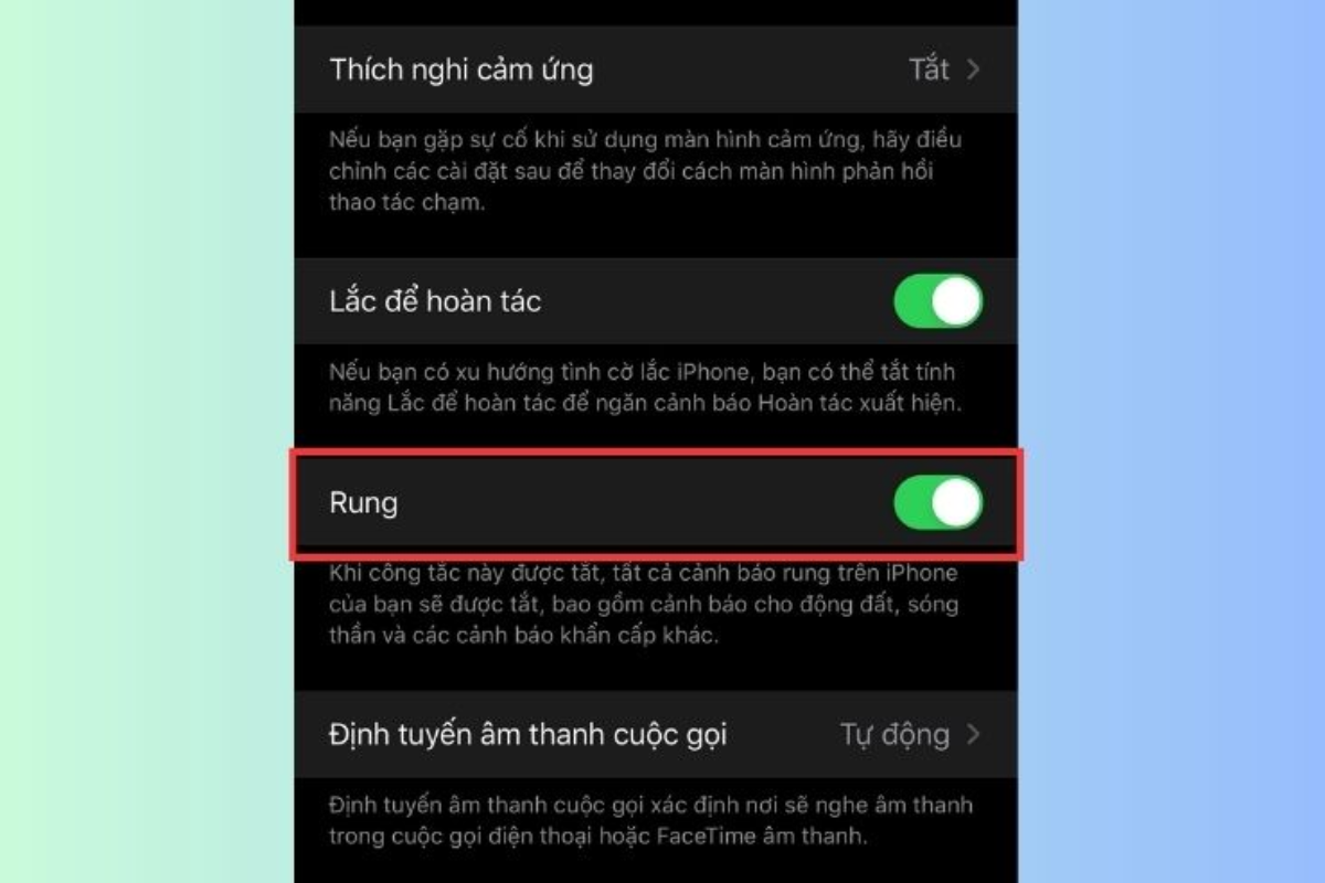 Kiểm tra tính năng Rung trong phần Trợ năng