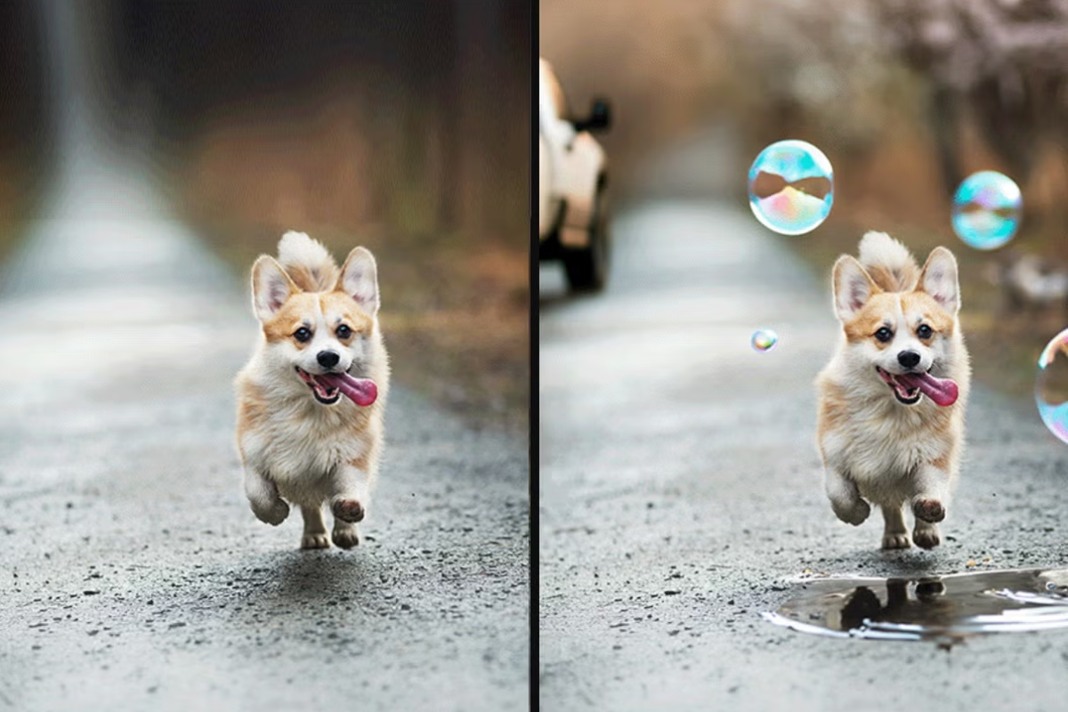 Sự thống trị của Nhiếp ảnh AI (Generative AI Photography)