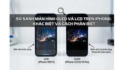 So sánh màn hình OLED và LCD trên iPhone: Khác biệt và Cách phân biệt